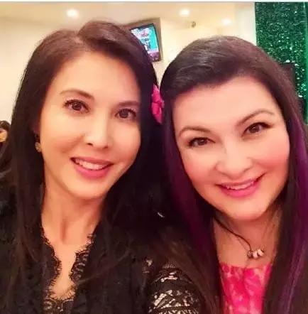 偷龙转猫 相关产品