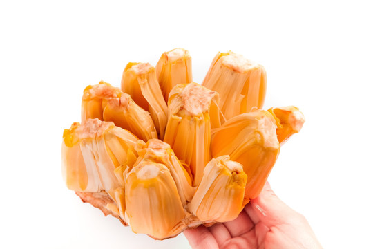 君子好逑 推荐产品